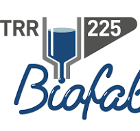 Biofabrication Würzburg